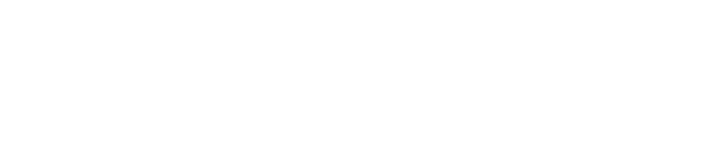 NEXA_LOGO_WHITE